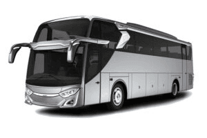 Jet Bus